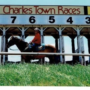 Meet your Posher, Arlene